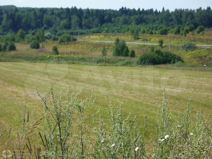 Участок 4,16 га (СНТ, ДНП)