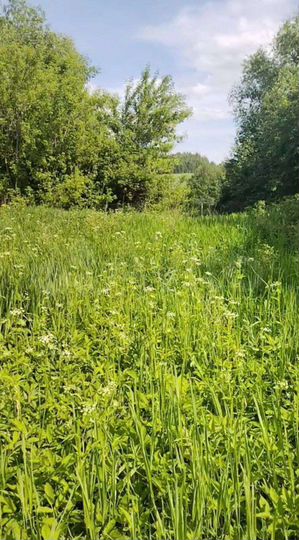 Участок 15 сот. (ИЖС)