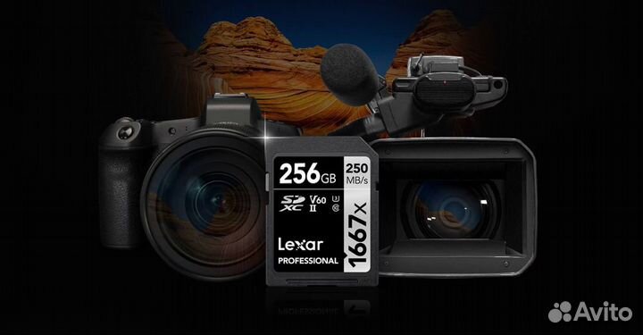 Карта памяти Lexar 256GB UHS-II V60
