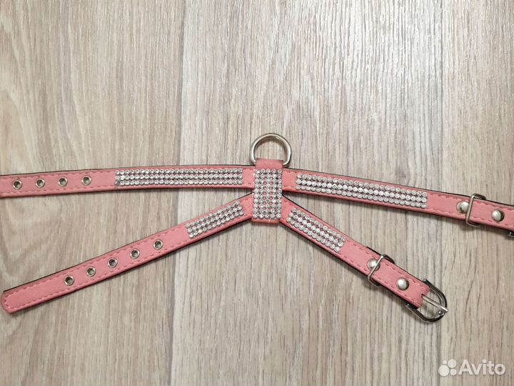 Шлейка на маленькую собачку