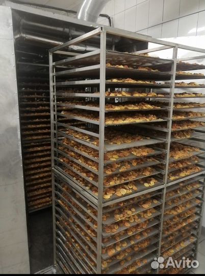 Сушильная камера пищевая