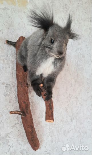 Имитация чучело белки