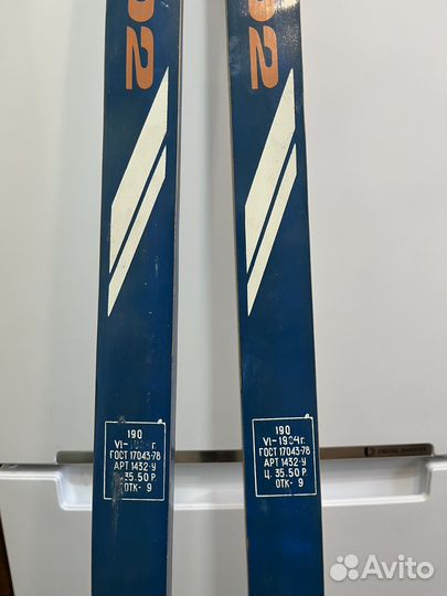 Беговые лыжи