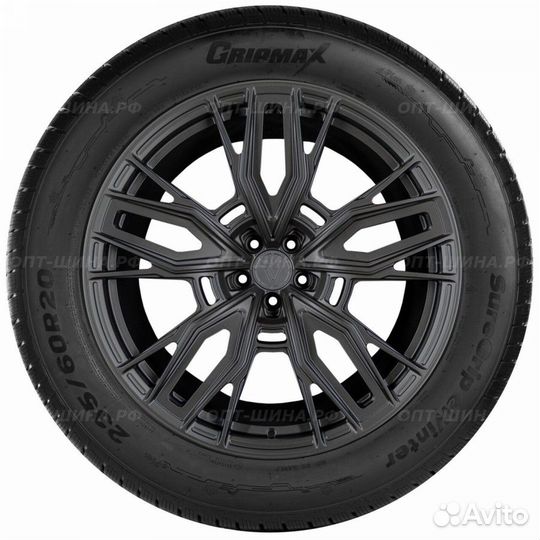 Gripmax SureGrip eWinter 205/55 R17 95V