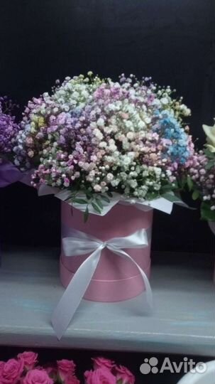 Гипсофила с доставкой