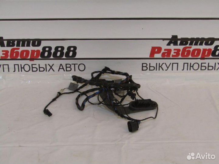 Проводка задней левой двери Bmw X5 E70 M57D30 2009