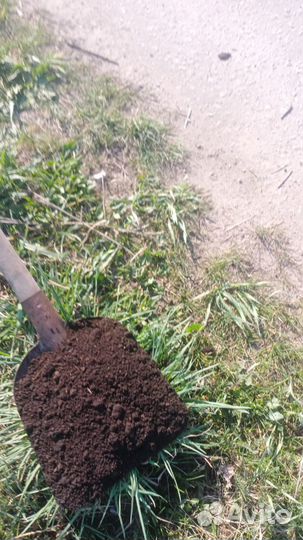 Торф в мешках