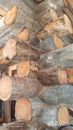 Бревно кругляк. Кело в наличии 30м3