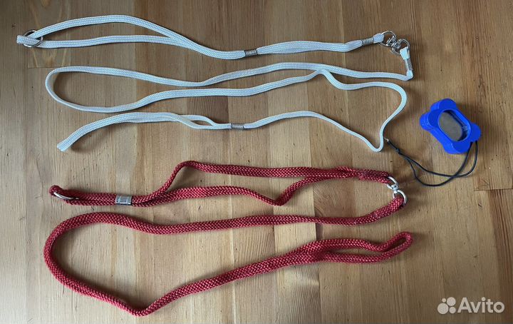 Ринговка для собак шлейка поводок для ринга кликер