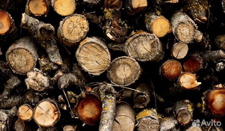 Дрова гост