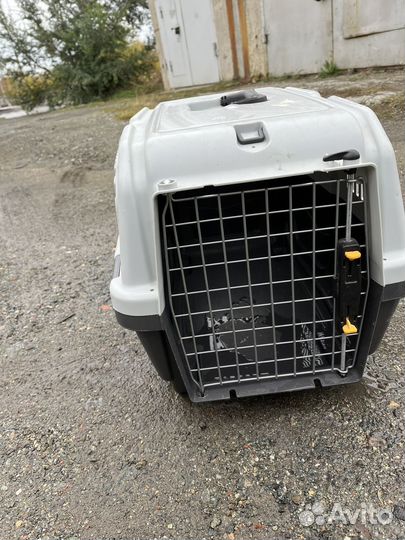 Переноска skudo 3 в аренду