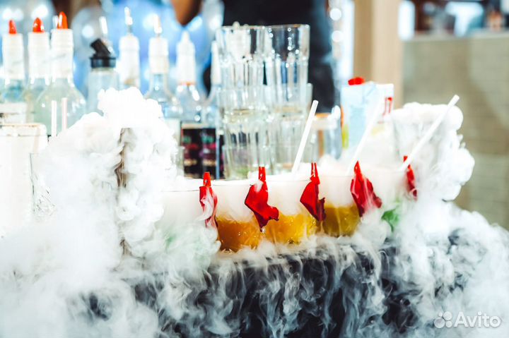 Выездной коктейль бар, Бармен шоу, Бар на welcome