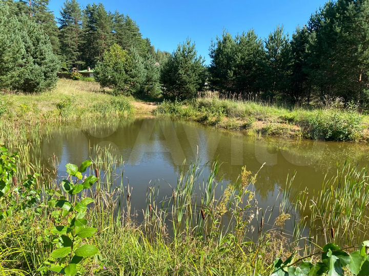 Участок 16 сот. (СНТ, ДНП)