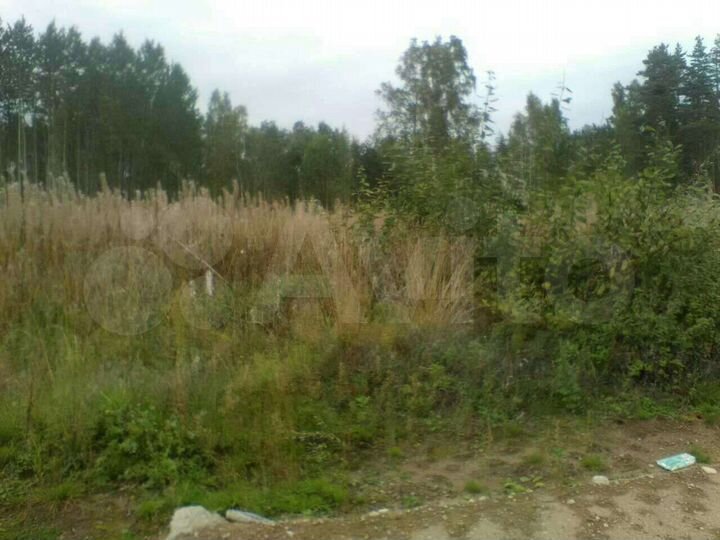 Участок 10 сот. (СНТ, ДНП)