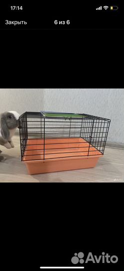 Клетка для грызунов