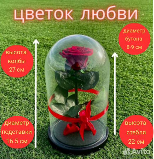 Вечная роза в колбе,роза в стекле,живая роза.Опт