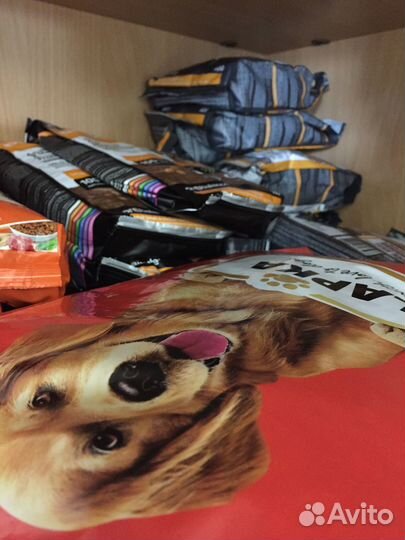 Ищем партнеров: заработок на кормах для животных