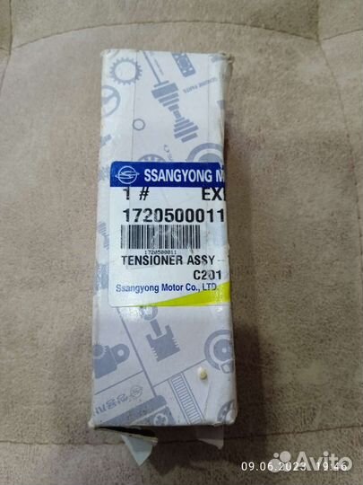 Гидро Натяжитель цепи санйенг actyon