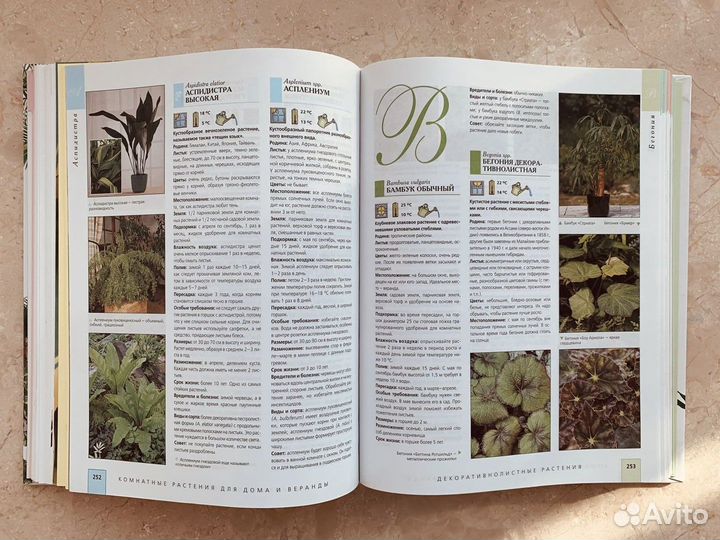 Энциклопедия комнатных растений