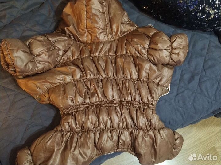 Комбинезон для маленькой собаки