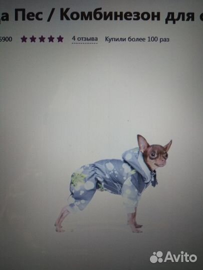 Товары для животных