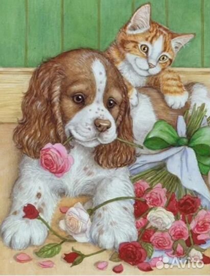 Передержка