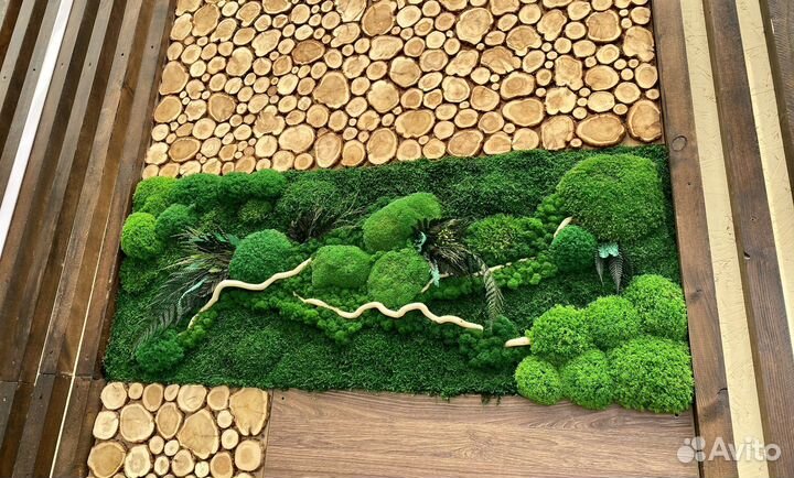 Мох. Озеленение. Декор. Фитостена