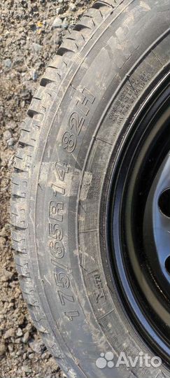 R14 Accelera Accelera Summer 175/65, PCD 4x98 DIA 38