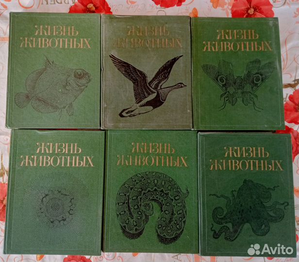 Энциклопедия