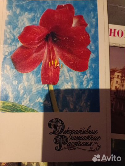 Открытки наборы СССР городов,артистов,морских жив