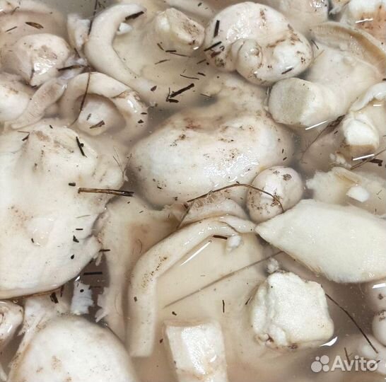 Вкусная заготовочка. Солёные грузди