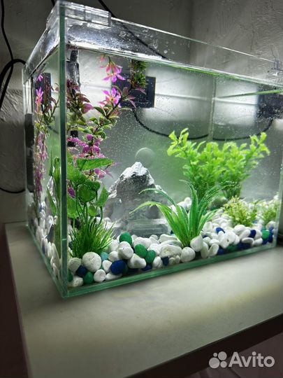Аквариум
