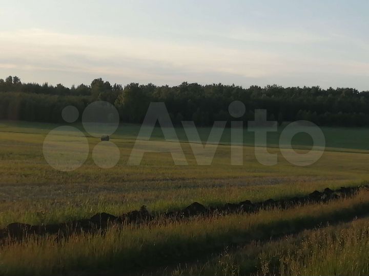 Участок 7,3 га (СНТ, ДНП)