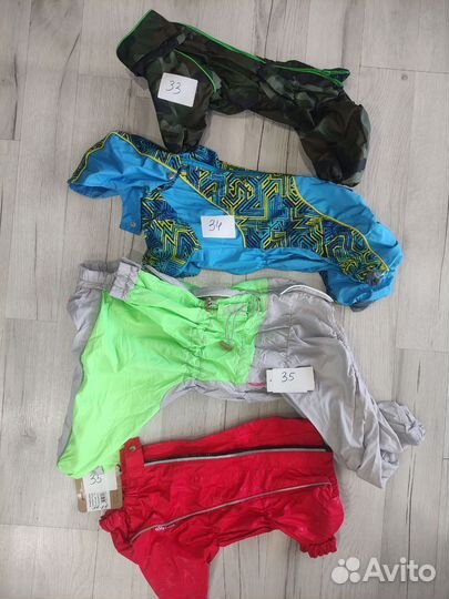 Одежда для собак