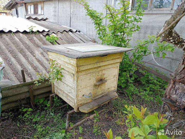 Продам ульи для пчел