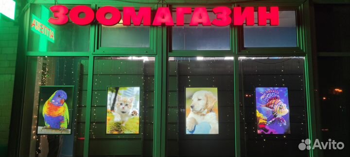 Продается готовый бизнес Зоомагазин