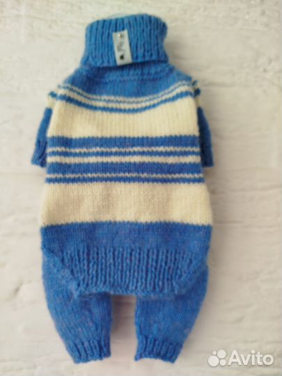 Одежда для собак мелких пород