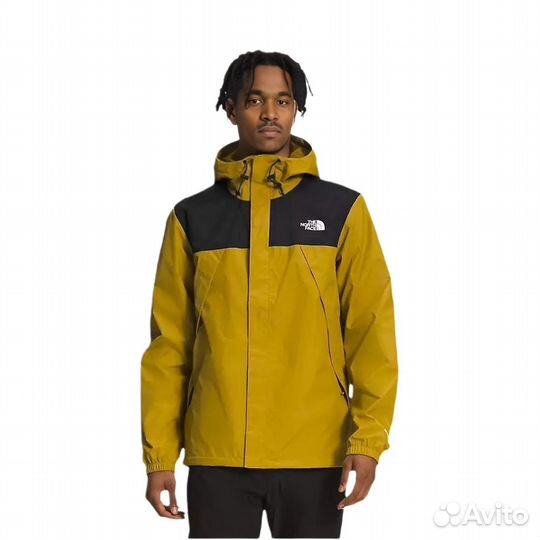 THE north face Jacket Men Multicolor (L)(94)