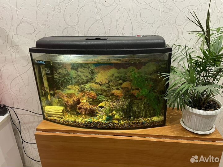 Аквариум