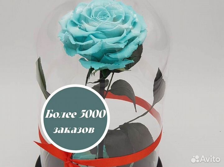 Роза в колбе. Любые размеры