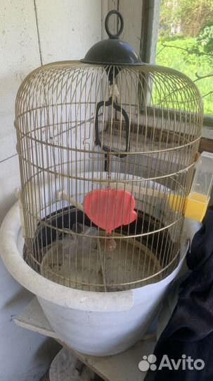 Клетка для птиц