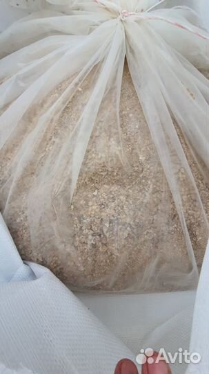 Ракушка кормовая