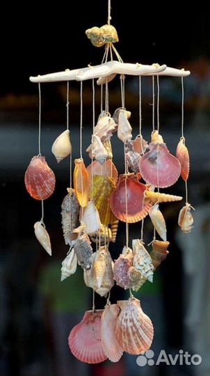 Раковины от гребешков