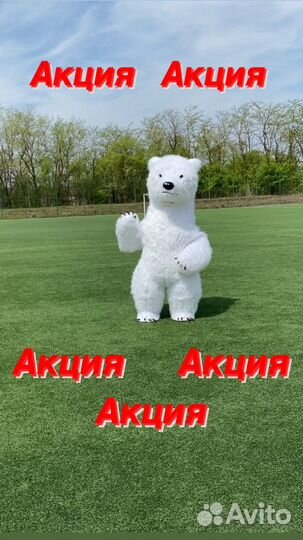 Белый Мишка поздравление ростовой медведь аниматор