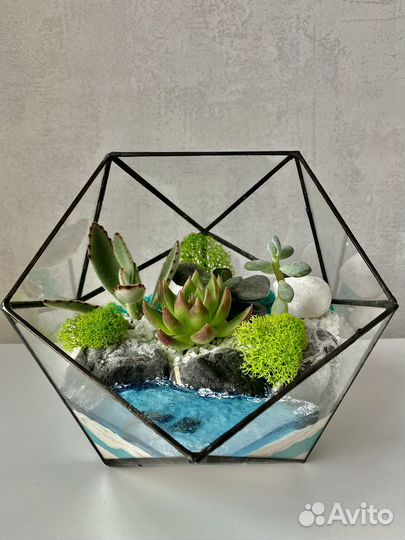 Флорариум с суккулентами и водоемом