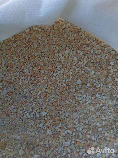 Пшеница, ячмень, овёс, кукуруза, зерносмесь