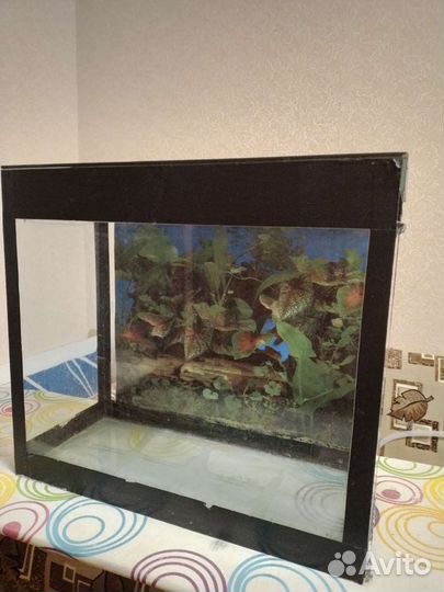 Аквариум