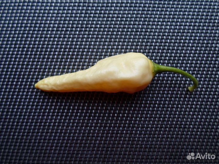 Fatalii White (Семена)