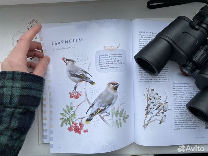 Книга с картинками и наклейками 