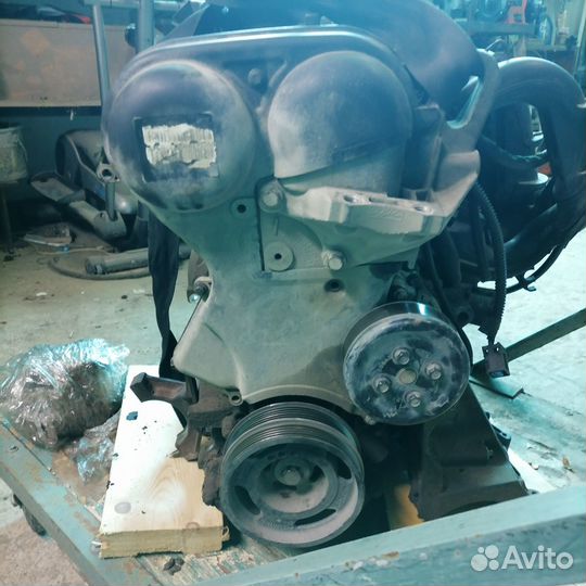 Двигатель ford focus 2 1.6 100 л с hwdb